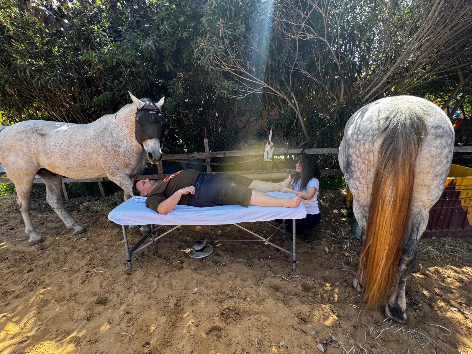 אורן טיפול 2